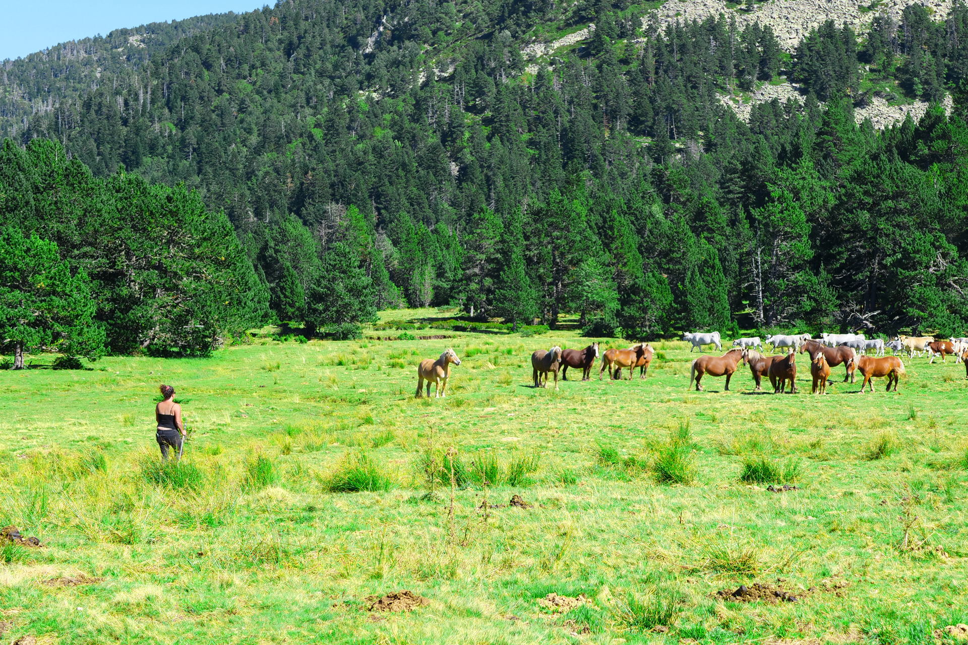 rogers prod pour aude actually ranch du madres